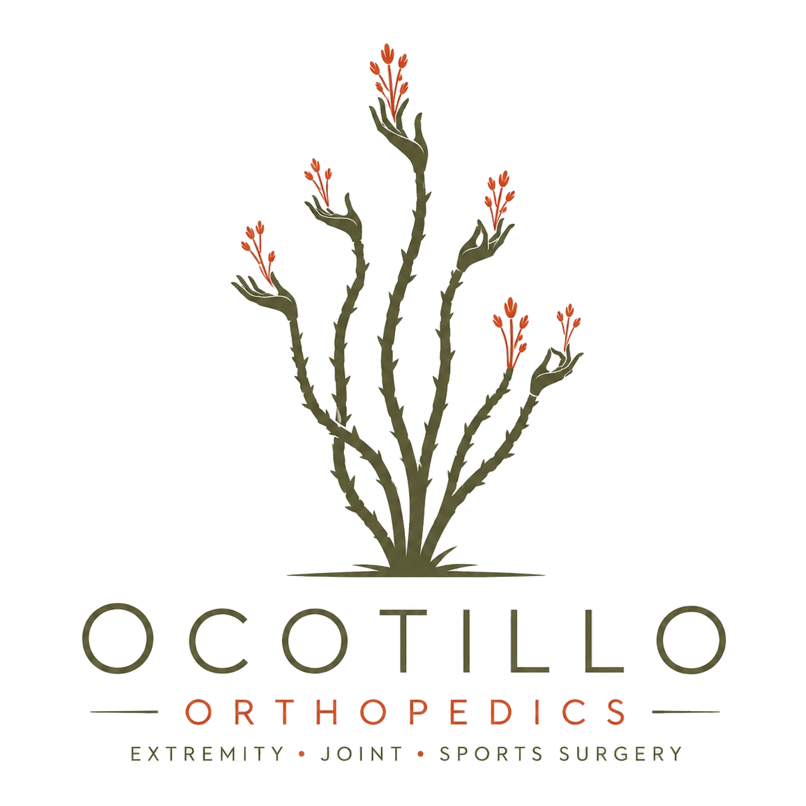 Ocotillo Orthopedics — Extremity · Joint · Sports Surgery